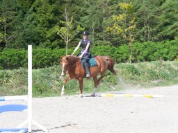 IMG_0530_web
